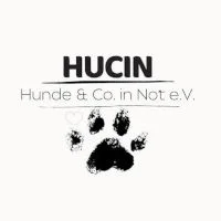 Hunde & Co in Not